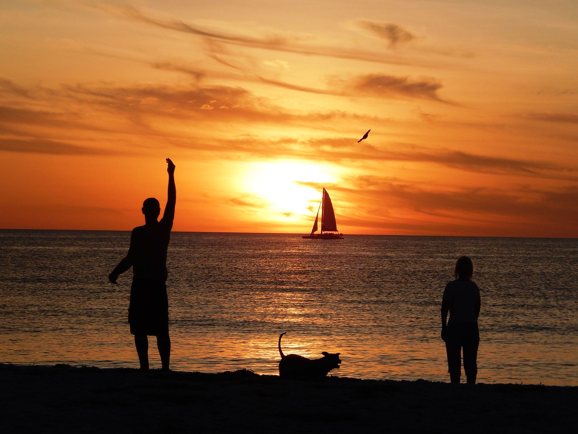 Attractions For Your Clearwater Beach Getaway